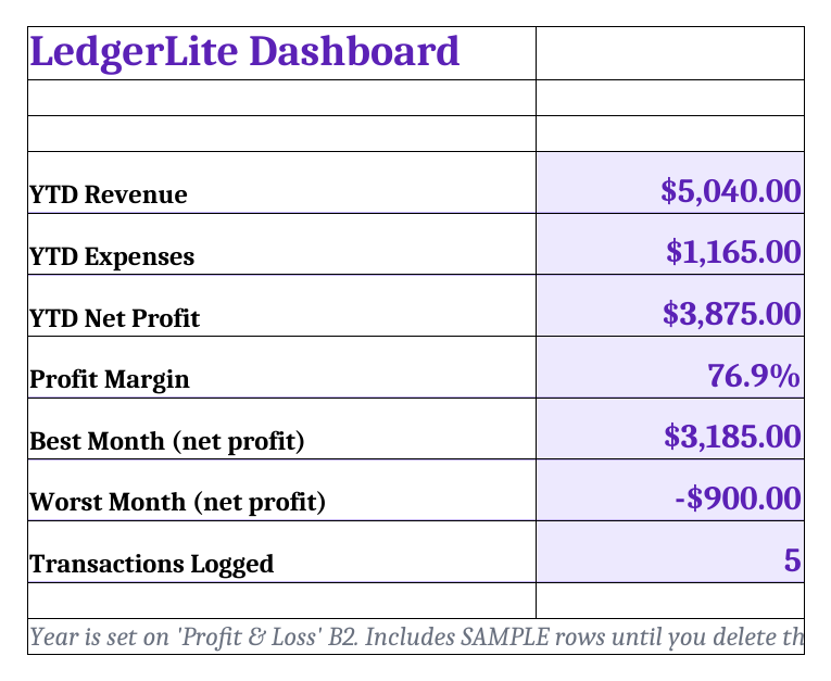 LedgerLite dashboard tab (sample data)